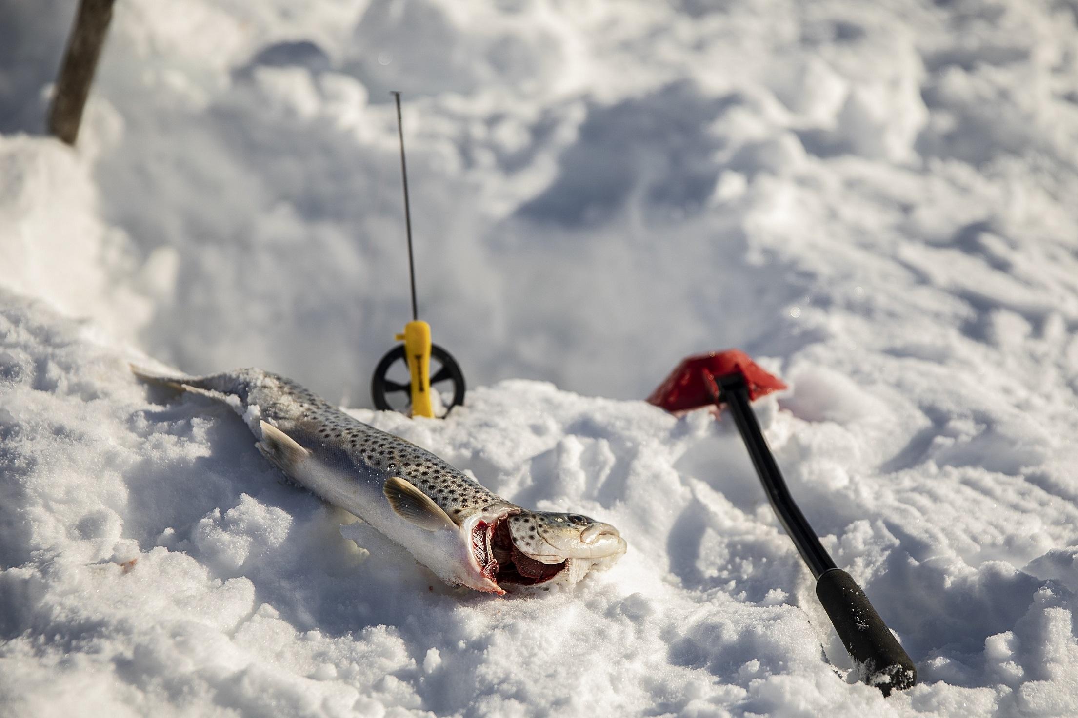 Guidet isfisketur