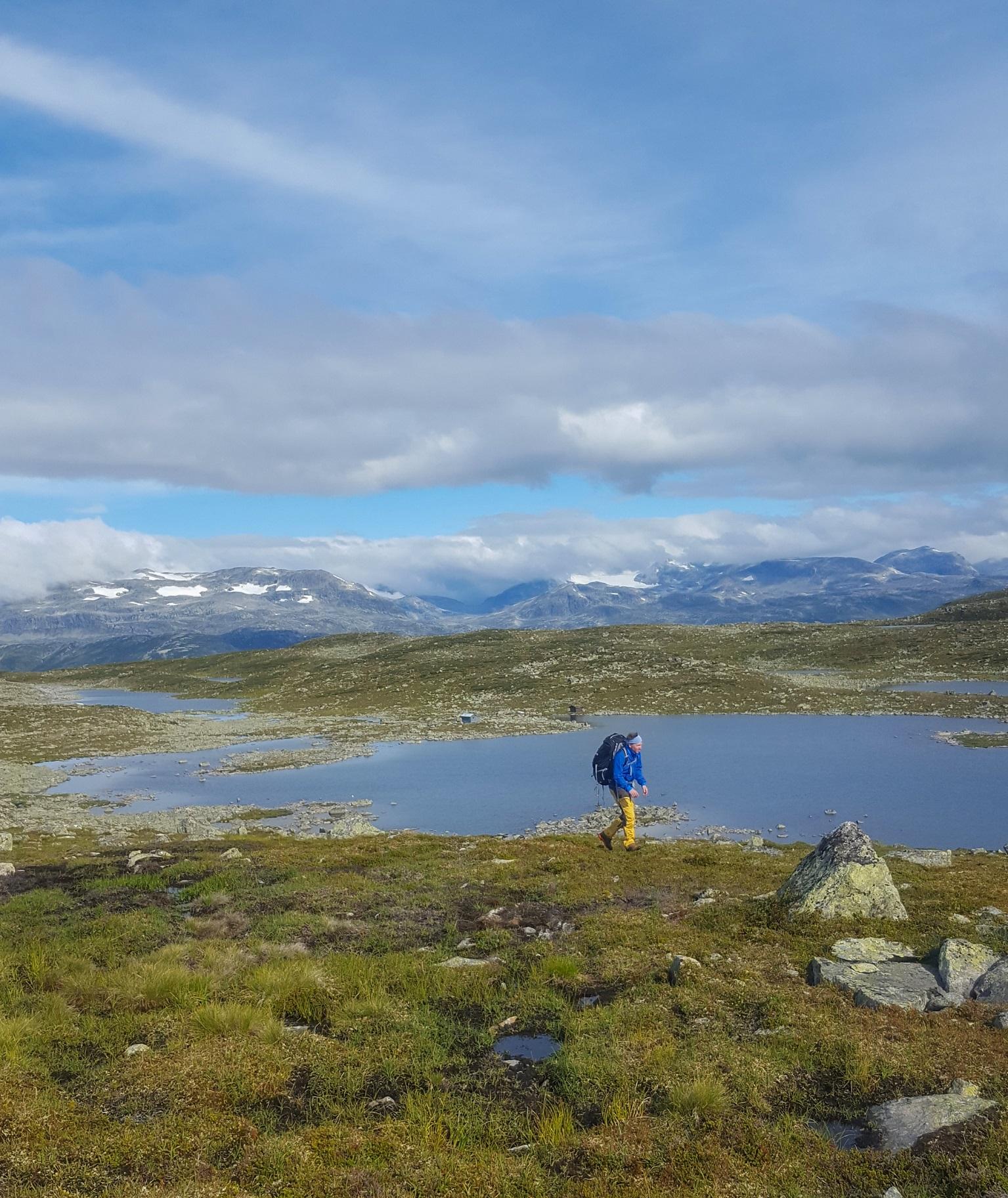 Målnes