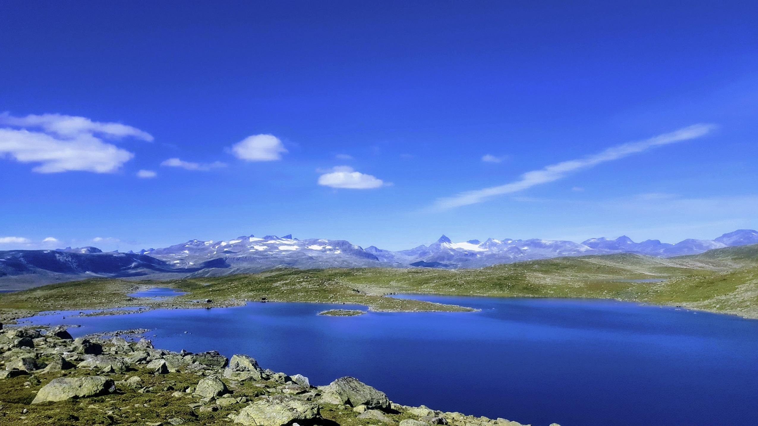 Målnes