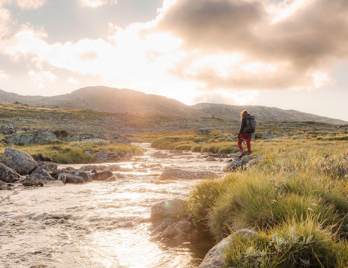 Guiding ørretfiske halv dag