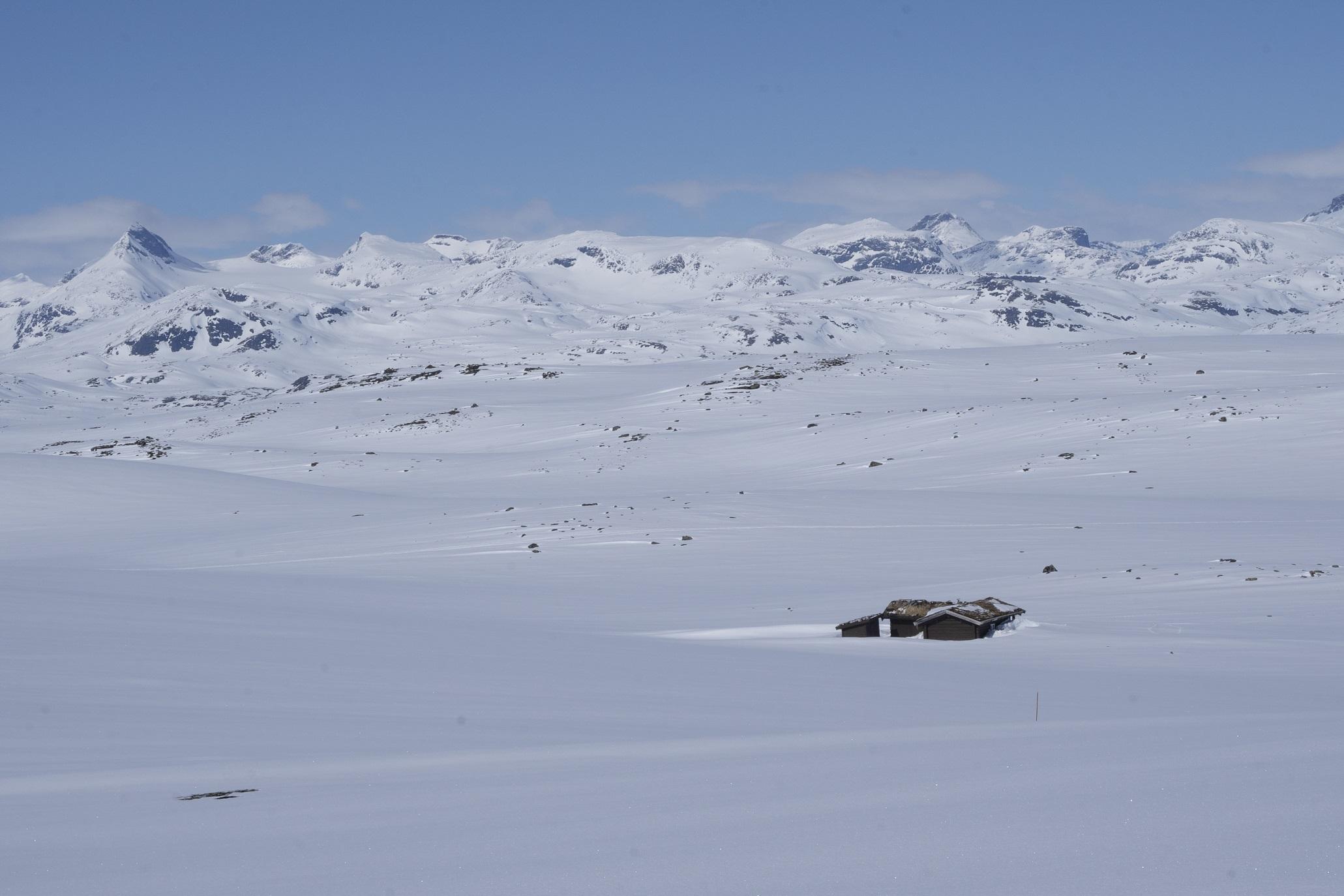 Målnes