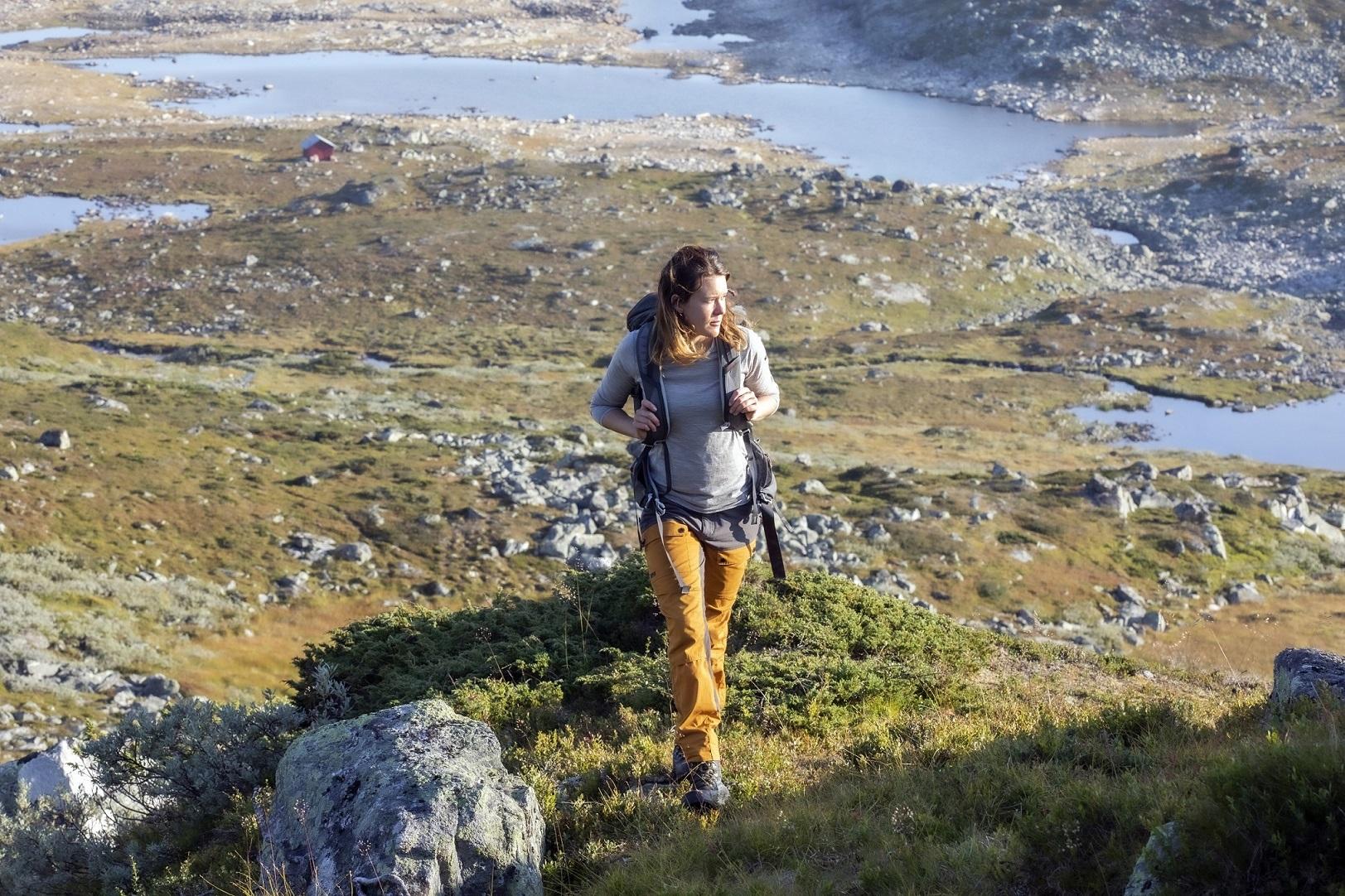 Guidet topptur (medium)